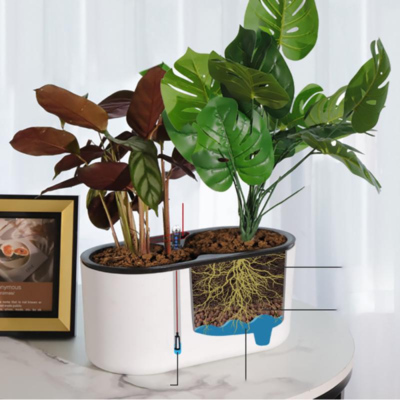 Tanaman Dalam Ruangan dengan I - Automatic Plant Waterer ulasan dan harga